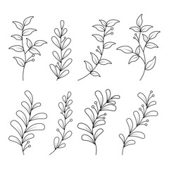 Set of hand drawn botanical line art collection. silhouette leaf and flower.doodle leaves branch. clip art leaves branches element
