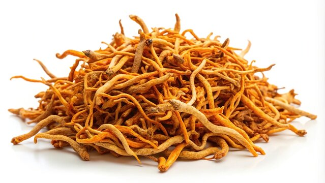 Close-Up Dried cordyceps militaris isolated on white background