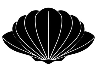 illustration of a seashell on a black background