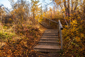 Autumn morning at Beaver Creek Conservation Area