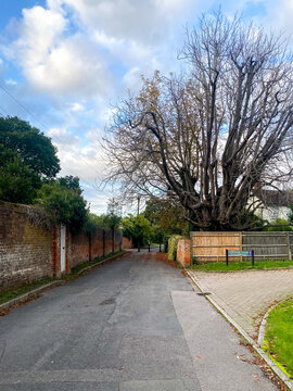 A view along Routh Lane, a quiet residential road in Reading, UK
