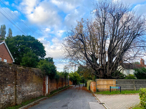 A view along Routh Lane, a quiet residential road in Reading, UK