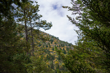 Naturaleza entre montañas