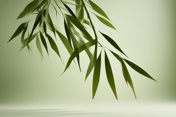 bamboo leaves on a green background