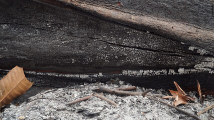 The texture of the surface of a burnt log. Focus selected