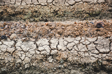 The texture of the garden soil is dry, resulting in cracks forming on the surface of the soil