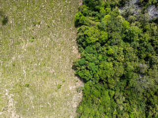 Aerial drone view of an area divided of deforested land and native forest in the brazilian Amazon...