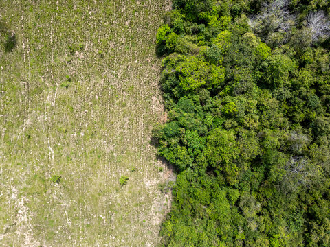 Aerial drone view of an area divided of deforested land and native forest in the brazilian Amazon region
