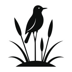 bird on a branch
