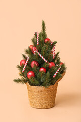 Beautiful Christmas tree in pot on beige background
