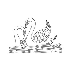 Fototapeta premium Swan