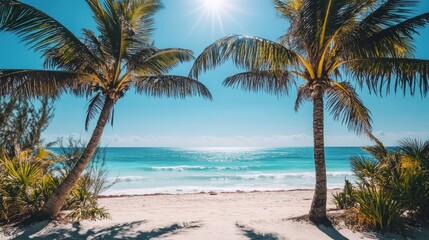 Two palm trees stand on a white sandy beach, framing a turquoise ocean with blue sky and bright sunshine.