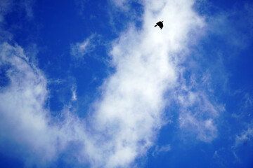blue skies and clouds