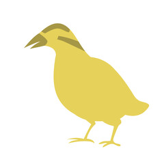 ヤンバルクイナ