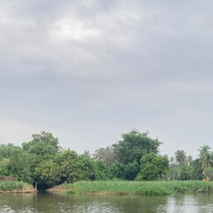 Fototapeta premium lake in the forest