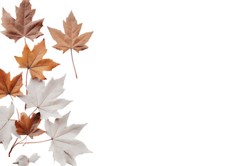 Fototapeta premium Autumn Maple Leaves In Shades Of Orange And Brown Arranged On A Wooden Surface