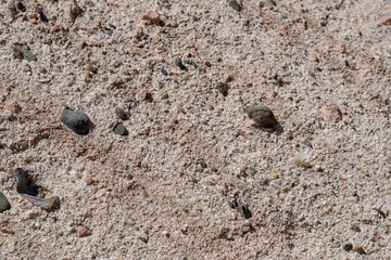 Cajon Valley Formation, Unit 2. Conglomerate and conglomeratic sandstone. Mormon Rocks, Phelan, San Bernardino County, California geology. Cajon Pass.  hogback or hog's back.  San Andreas Fault
