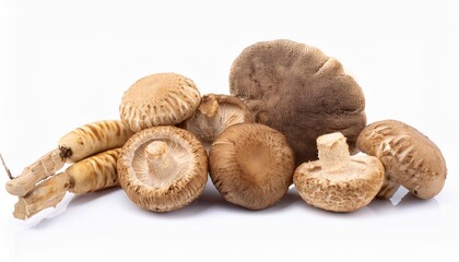 Fototapeta premium Mushrooms on white background. Mushrooms Isolated.