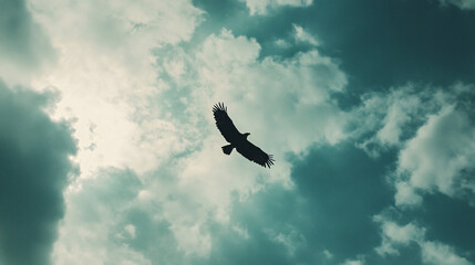 silhouette of a bird flying through a blue and white cloudy sky