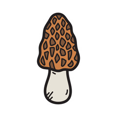 Morel Mushroom Vector Doodle Illustration