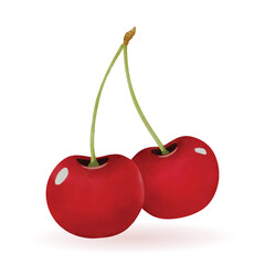 Realistic Fruit Cherry Watercolor Vector