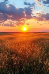 Fototapeta premium A vibrant sunset paints the sky with hues of orange, pink, and blue as the sun sets over a field of tall grass.