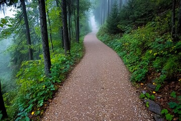 Fototapeta premium Misty forest path, with the fog moving gently between the trees, shrouding the trail in a soft, diffused light and creating a peaceful, quiet walk in the woods