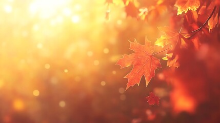 Autumn Leaves Sunlit Background Golden Hour