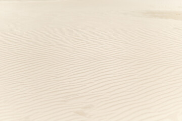 Tranquil desert landscape with gentle sand ripples under bright sunlight during midday