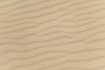 Patterns of soft sand dunes with gentle ripples in the afternoon sunlight on a warm summer day