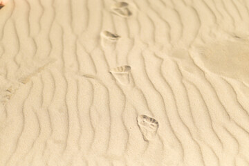Footprints in the sand leading to the shoreline at sunset on a tranquil beach