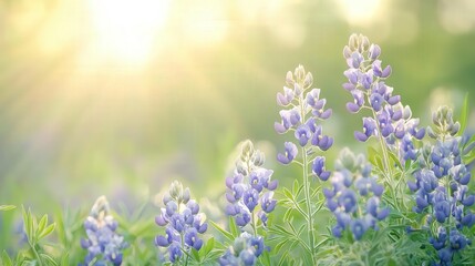 Obraz premium Realistic Vibrant bluebonnet fields of Texas Hill Country in spring