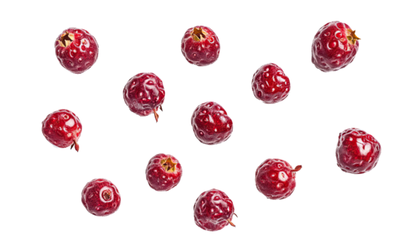 dray canberries fruites  on transparent background