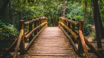 Obraz premium Wooden Bridge in a Lush Green Forest