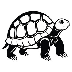 Solid color Radiated Tortoise animal vector design