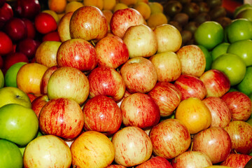 Wide variety of red, yellow and green apples