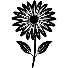 black and white flower