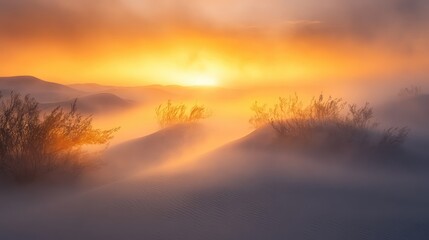 Fototapeta premium A fog-covered desert plain at sunrise, with the soft light breaking through and illuminating the mist over the sand dunes