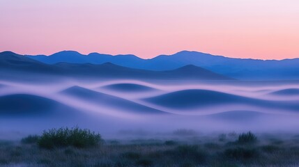 Fototapeta premium A foggy desert scene at dusk, with the last light of the day casting a soft glow over the mist-covered dunes