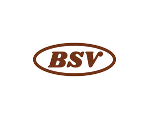 BSV logo design vector template. BSV
