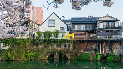 Traditional hot spring ryokan and hotel with bear dolls, Ureshino