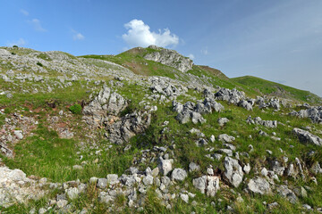 Bergsteppe in den Dinarischen Alpen, Crveni Kuk, Bosnien-Herzegowina // Mountain steppe in the...