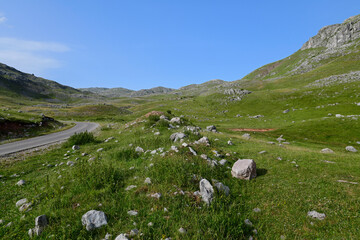 Bergsteppe in den Dinarischen Alpen, Crveni Kuk, Bosnien-Herzegowina // Mountain steppe in the...