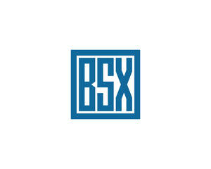 BSX logo design vector template. BSX