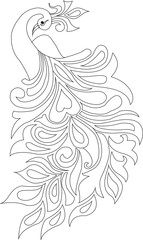 Fototapeta premium Mayur Peacock Vector Illustration Art