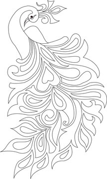 Mayur Peacock Vector Illustration Art