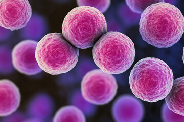 Microscopic Illustration of Staphylococcus Aureus: Close-Up of Clustered Spherical Bacteria