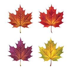 Collection of Colorful Watercolor Maple Leaves in Stunning Gradients