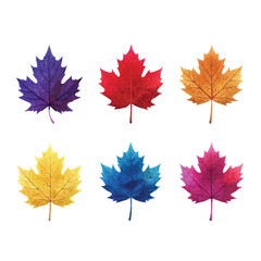 Fototapeta premium Collection of six watercolor maple leaves in a spectrum of autumn colors