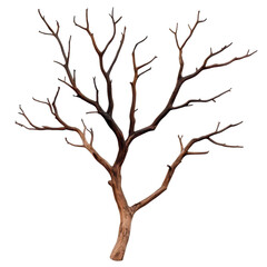 A closeup of rough bark on a sturdy tree branch, showcasing natures intricate textures against a clean backdrop.